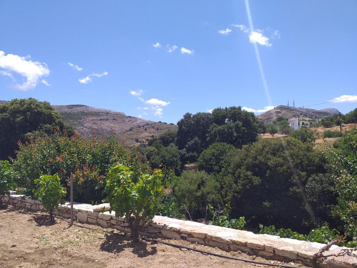 Imellos Aperathos Екстер'єр фото
